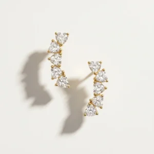 Heart Climber Earrings